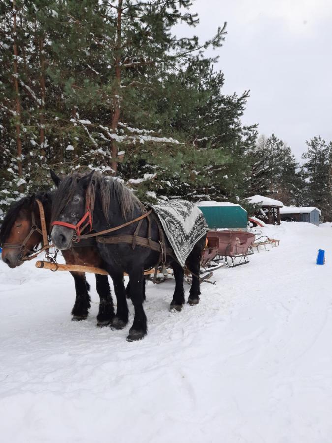 Farmstay Marianowka U Tesi Giby Eksteriør billede
