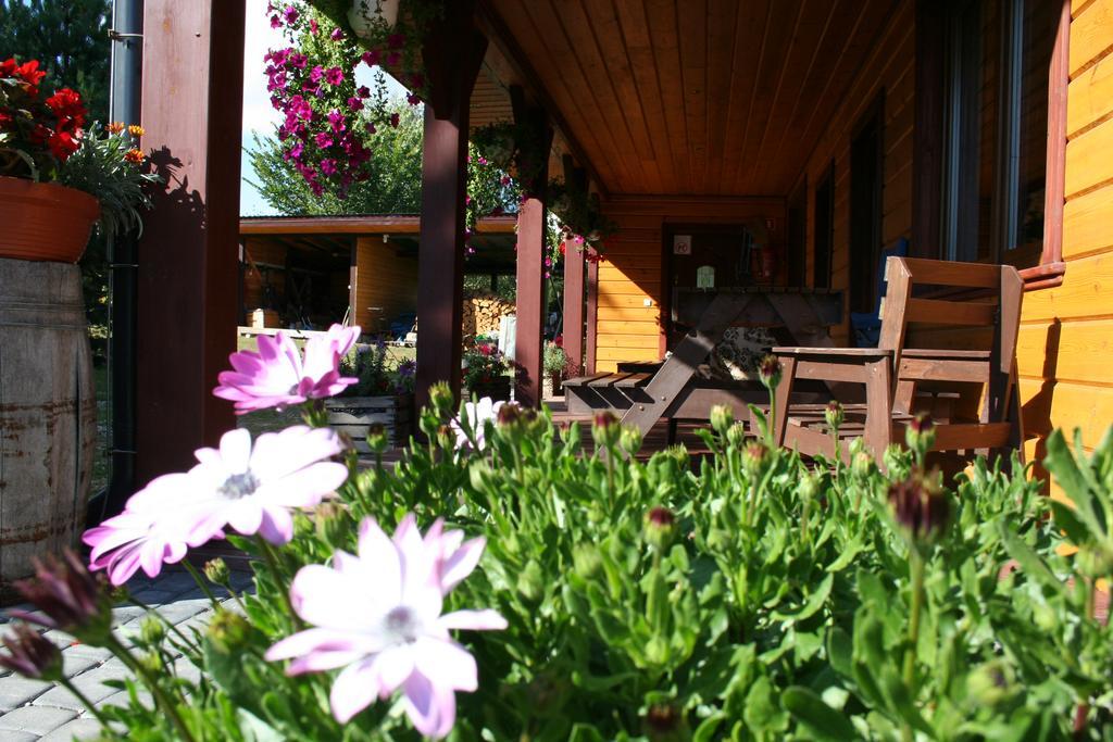 Farmstay Marianowka U Tesi Giby Eksteriør billede